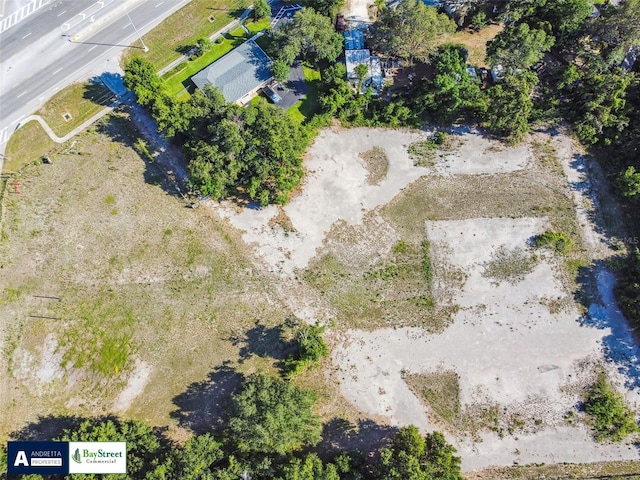 11102 N 301st Hwy, Thonotosassa, FL 33592 - photo 11