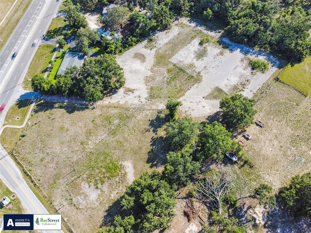 11102 N 301st Hwy, Thonotosassa, FL 33592 - photo 12