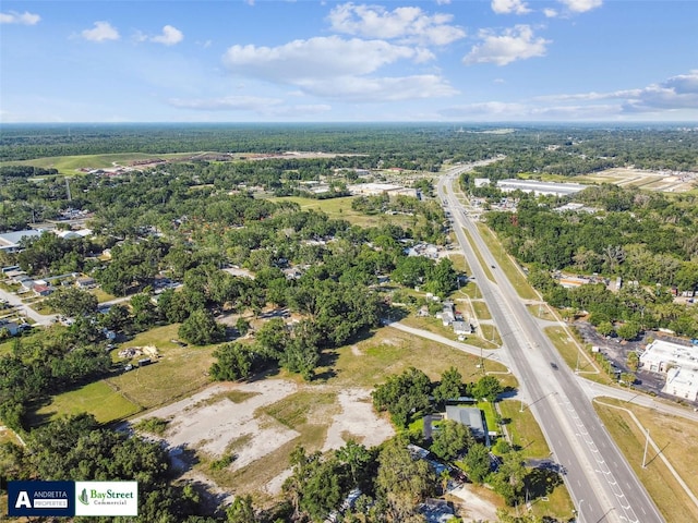 11102 N 301st Hwy, Thonotosassa, FL 33592 - photo 17