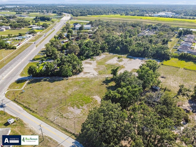 11102 N 301st Hwy, Thonotosassa, FL 33592 - photo 18