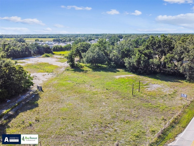 11102 N 301st Hwy, Thonotosassa, FL 33592 - photo 20