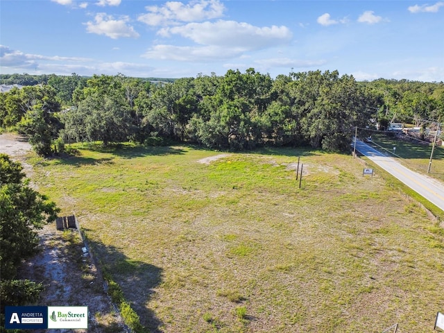 11102 N 301st Hwy, Thonotosassa, FL 33592 - photo 21