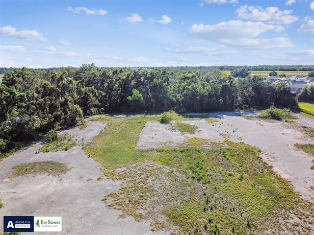 11102 N 301st Hwy, Thonotosassa, FL 33592 - photo 23