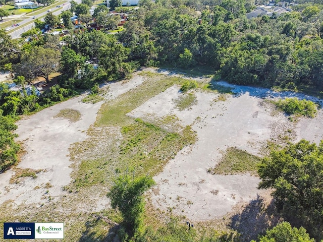 11102 N 301st Hwy, Thonotosassa, FL 33592 - photo 25