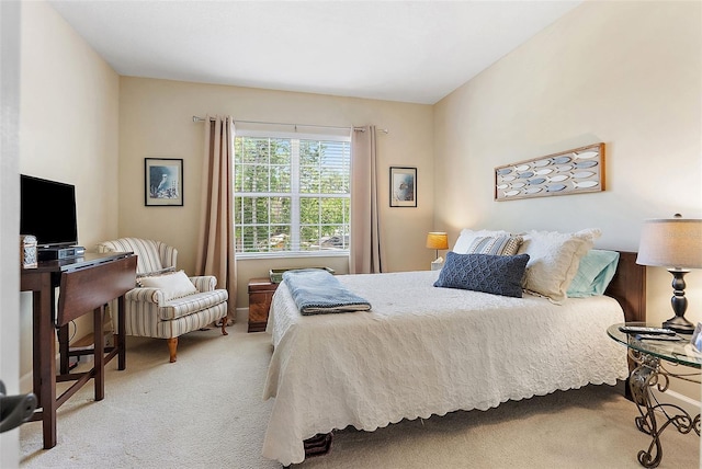 225 49th Ave N, Saint Petersburg, FL 33703 - photo 23