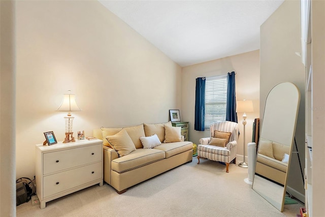 225 49th Ave N, Saint Petersburg, FL 33703 - photo 20