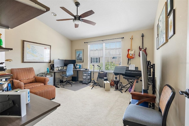 225 49th Ave N, Saint Petersburg, FL 33703 - photo 27