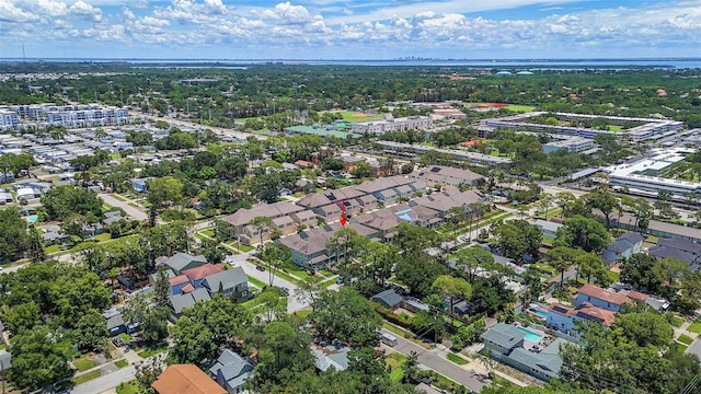 225 49th Ave N, Saint Petersburg, FL 33703 - photo 40