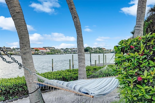 6605 Seabird Way, Apollo Beach, FL 33572 - water view with a boat dock