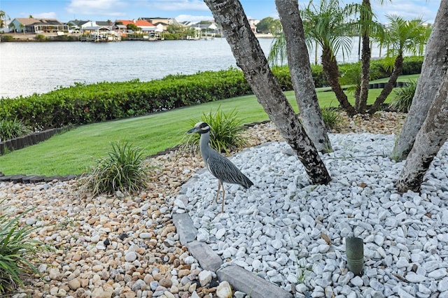 6605 Seabird Way, Apollo Beach, FL 33572 - view of grassy yard with a water view and a residential view