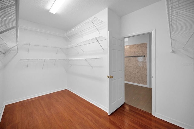 3612 Covington Dr, Holiday, FL 34691 - walk in closet featuring wood finished floors