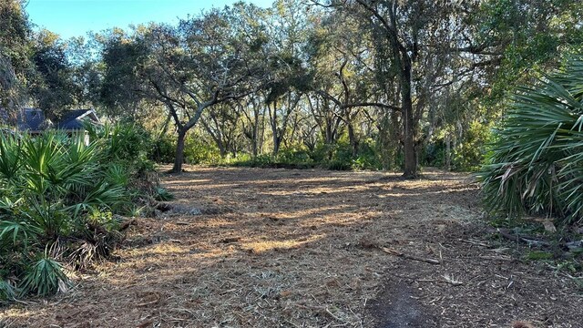 1676 Hermosa Dr, Palm Harbor, FL 34683 - photo 13