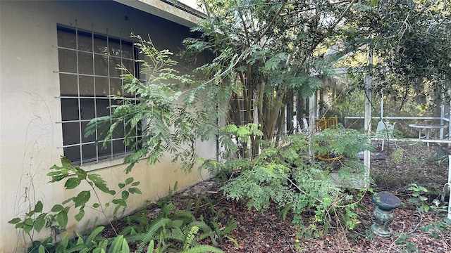 1676 Hermosa Dr, Palm Harbor, FL 34683 - photo 15