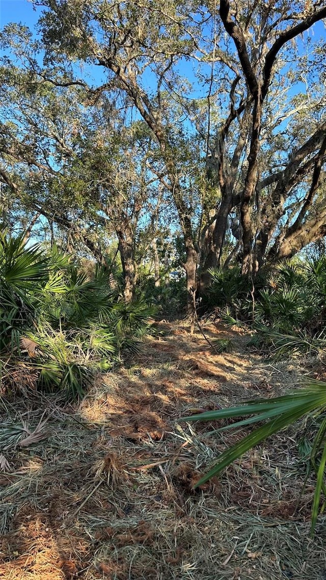 1676 Hermosa Dr, Palm Harbor, FL 34683 - photo 17