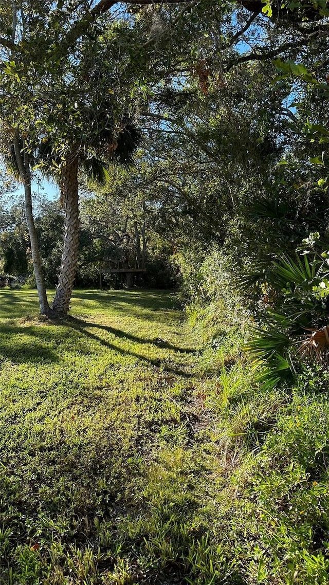 1676 Hermosa Dr, Palm Harbor, FL 34683 - photo 18