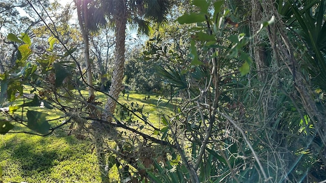 1676 Hermosa Dr, Palm Harbor, FL 34683 - photo 20