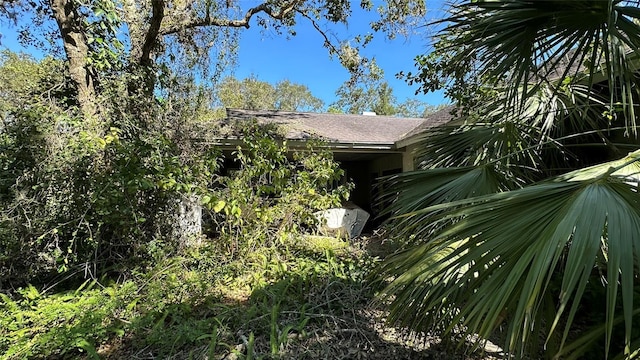 1676 Hermosa Dr, Palm Harbor, FL 34683 - photo 3