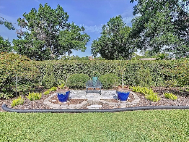1358 Forestedge Blvd, Oldsmar, FL 34677 - view of yard featuring a patio area