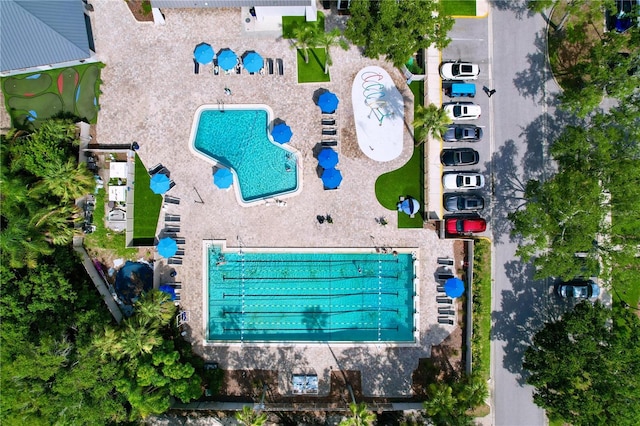 1358 Forestedge Blvd, Oldsmar, FL 34677 - bird's eye view of a pool area