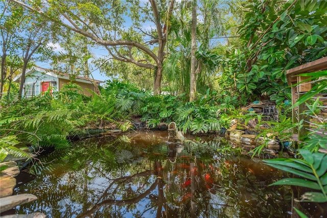 1042 S Sterling Ave, Tampa, FL 33629 - photo 48