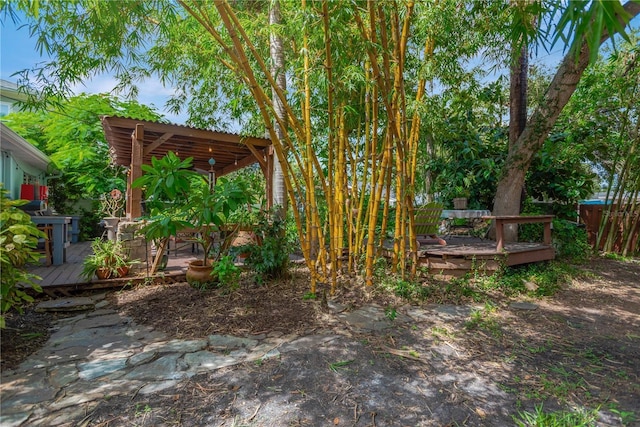 1042 S Sterling Ave, Tampa, FL 33629 - photo 49