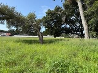 510 Calhoun Ave, Seffner, FL 33584 - photo 1