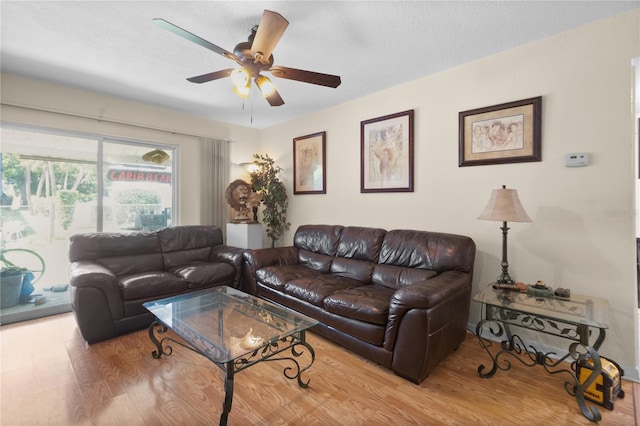 2518 Keen Park Dr, Largo, FL 33771 - photo 8