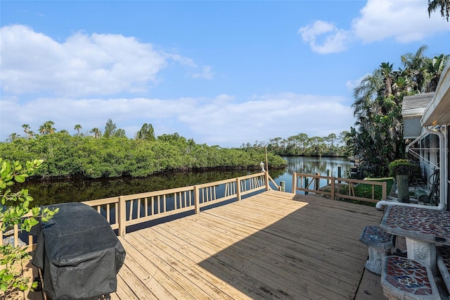 9909 San Diego Way, Port Richey, FL 34668 - photo 31