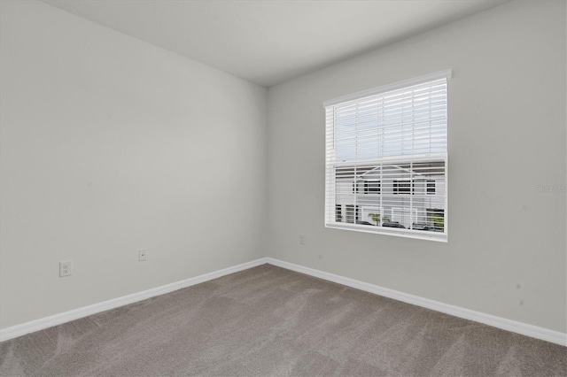 33036 Frosted Clover Way, Wesley Chapel, FL 33545 - unfurnished room featuring carpet floors and baseboards