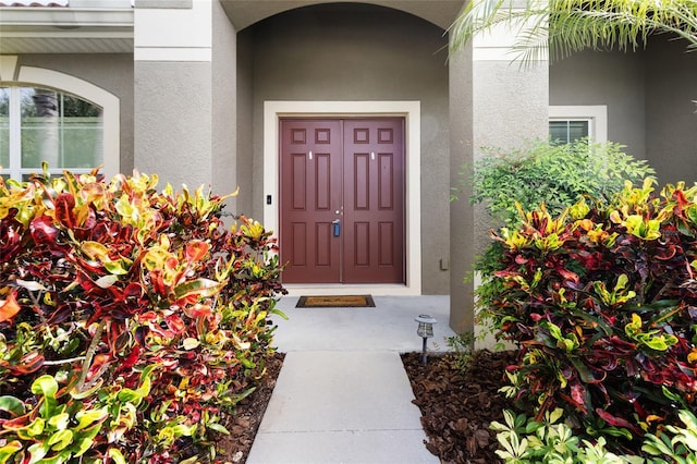 317 Royal Bonnet Dr, Apollo Beach, FL 33572 - view of exterior entry with stucco siding