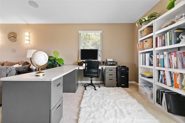 317 Royal Bonnet Dr, Apollo Beach, FL 33572 - office area featuring light colored carpet