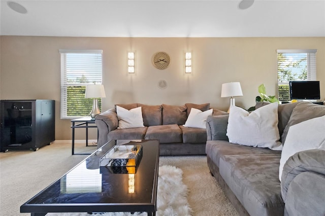 317 Royal Bonnet Dr, Apollo Beach, FL 33572 - living room with light colored carpet