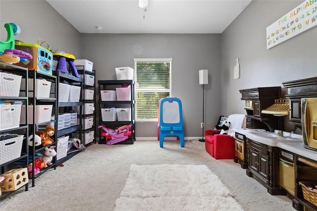317 Royal Bonnet Dr, Apollo Beach, FL 33572 - view of storage room