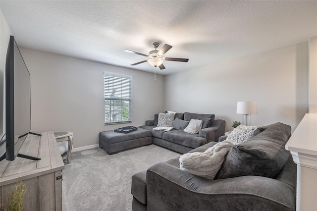 10270 Shady Preserve Dr, Riverview, FL 33578 - photo 18