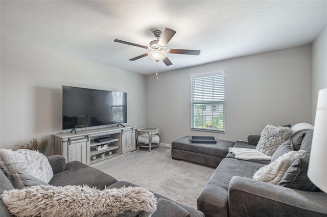 10270 Shady Preserve Dr, Riverview, FL 33578 - photo 19