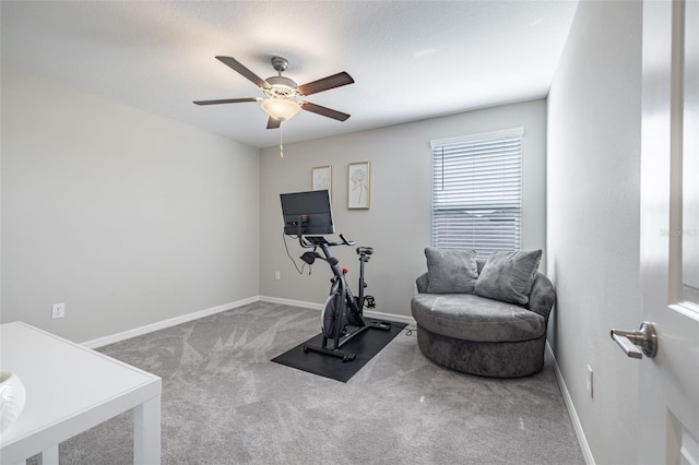 10270 Shady Preserve Dr, Riverview, FL 33578 - photo 26