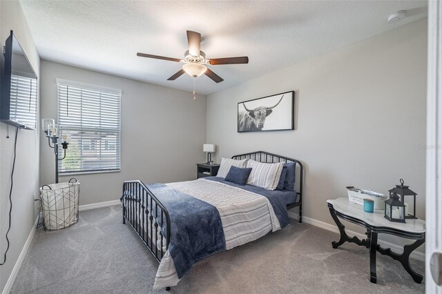 10270 Shady Preserve Dr, Riverview, FL 33578 - photo 31