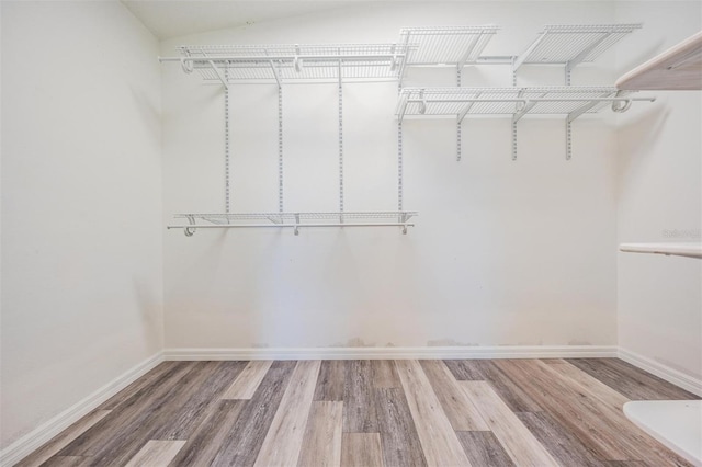 2208 Cattleman Dr, Brandon, FL 33511 - walk in closet with wood finished floors