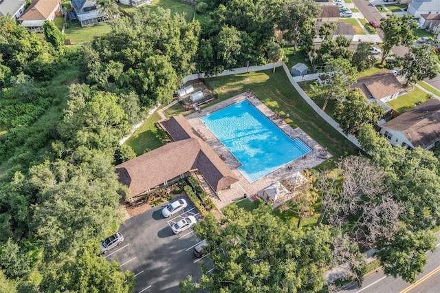 2208 Cattleman Dr, Brandon, FL 33511 - drone / aerial view of a pool