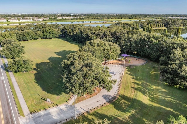 2208 Cattleman Dr, Brandon, FL 33511 - aerial overview of property's location with a large body of water and a tree filled landscape