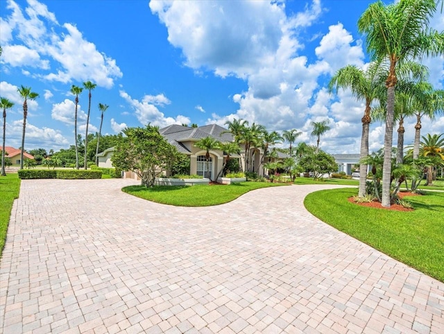 4521 Cheval Blvd, Lutz, FL 33558 - view of front facade with curved driveway and a front lawn