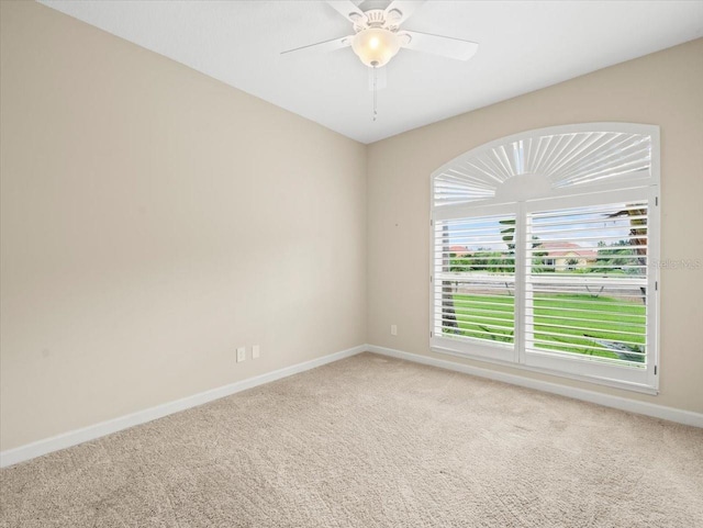 4521 Cheval Blvd, Lutz, FL 33558 - spare room with carpet and a ceiling fan