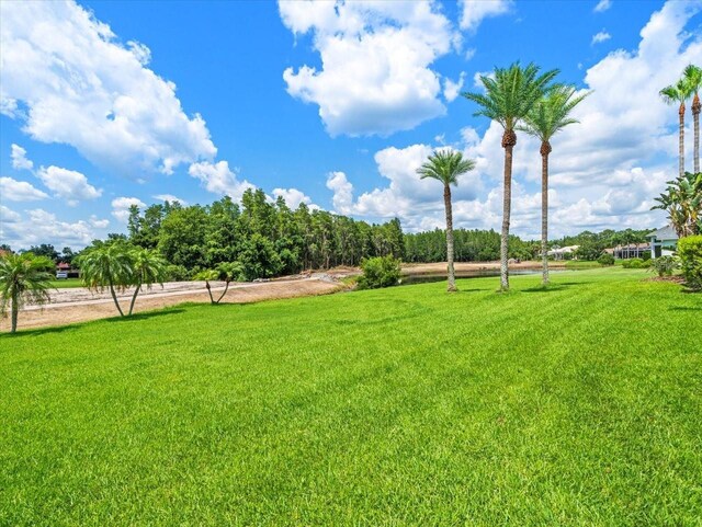 4521 Cheval Blvd, Lutz, FL 33558 - view of grassy yard