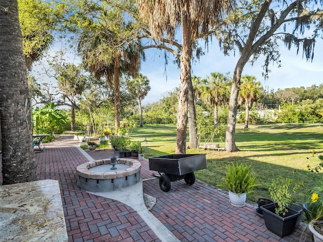 4915 S Rd, New Port Richey, FL 34652 - view of patio / terrace with view of wooded area
