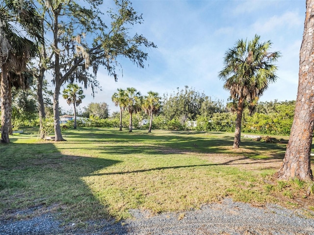 4915 S Rd, New Port Richey, FL 34652 - surrounding community featuring a lawn