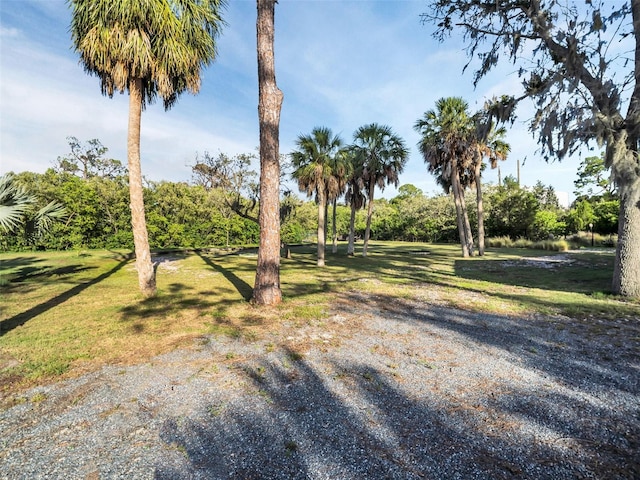 4915 S Rd, New Port Richey, FL 34652 - view of green lawn
