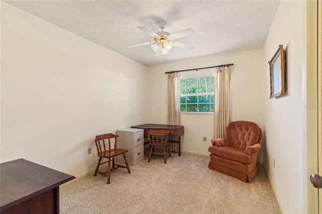 16113 Tampa St, Lutz, FL 33548 - photo 17