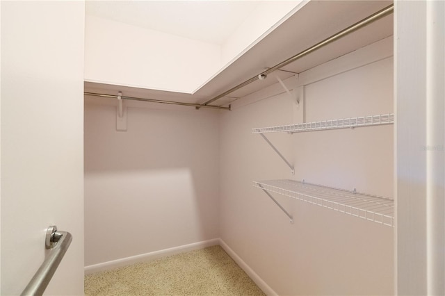 16113 Tampa St, Lutz, FL 33548 - photo 21