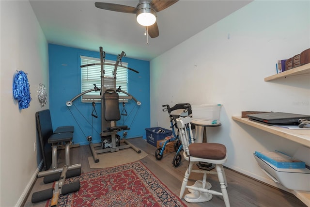 33 Cypress Dr, Palm Harbor, FL 34684 - exercise area with wood finished floors and ceiling fan