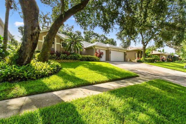 2009 Raven Manor Dr, Dover, FL 33527 - ranch-style home featuring stucco siding, a garage, driveway, and a front lawn